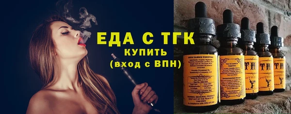 индика Дмитровск