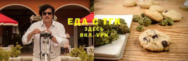индика Дмитровск