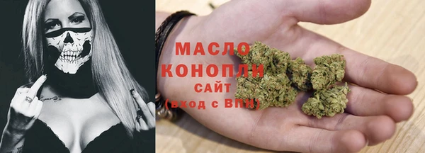 прущий лед Дмитриев
