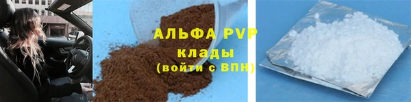 индика Дмитровск