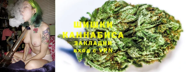 прущий лед Дмитриев
