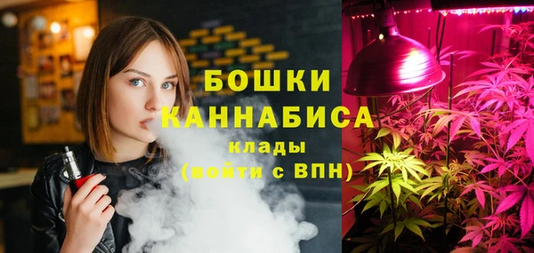 индика Дмитровск