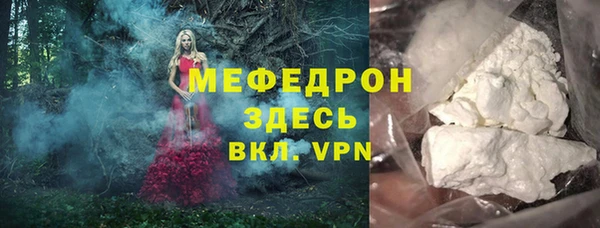 индика Дмитровск