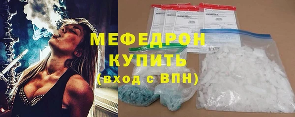 индика Дмитровск