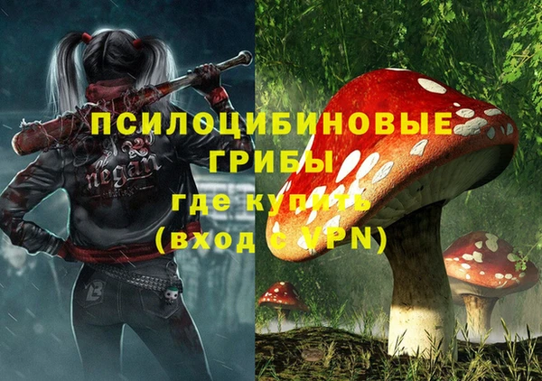 каннабис Дмитров