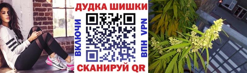 Купить закладки  Зуевка  Шишки марихуана White Widow 